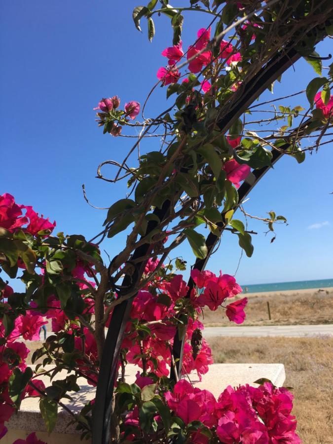 Beach Flat With Garden Кастелдефелс Екстериор снимка